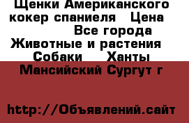 Щенки Американского кокер спаниеля › Цена ­ 15 000 - Все города Животные и растения » Собаки   . Ханты-Мансийский,Сургут г.